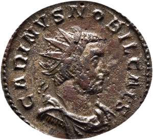 Carinus